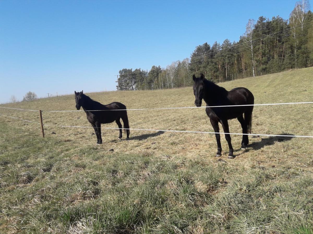 Apartamenty Lubiewo Mikołajki 外观 照片